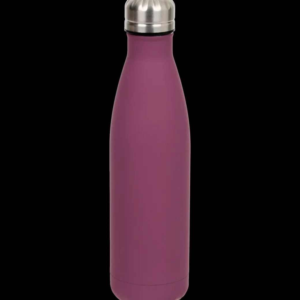 DAY isoleerfles | Action NL