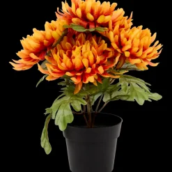Excellent Flowers chrysant in pot | Action NL