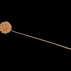 Gouden kunsttak | Action NL