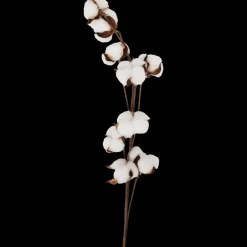 Katoentak | Action NL