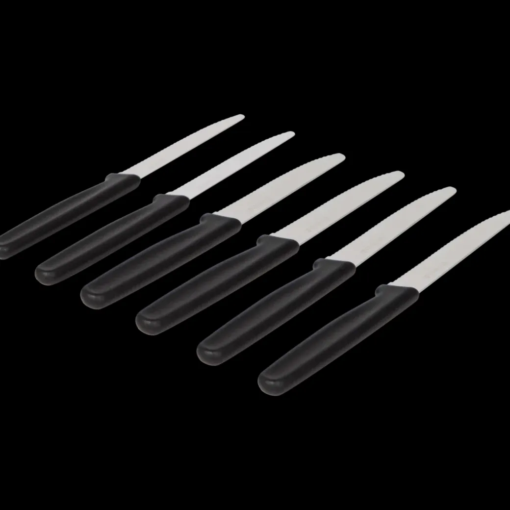 Lowenthal keukenmessen 6 Stuks | Action NL