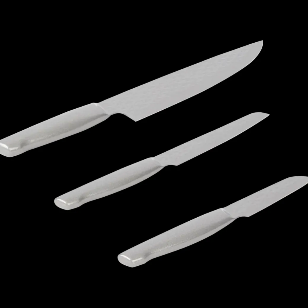 Messenset Zilver 1 Stuks | Action NL