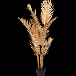 Palm in pot XL | Action NL