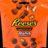 Reese's Peanut Butter Cups Mini's | Action NL