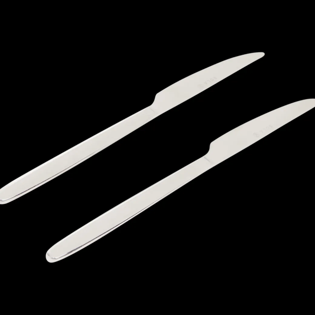 Sola Ibiza messen Zilver 2 Stuks | Action NL