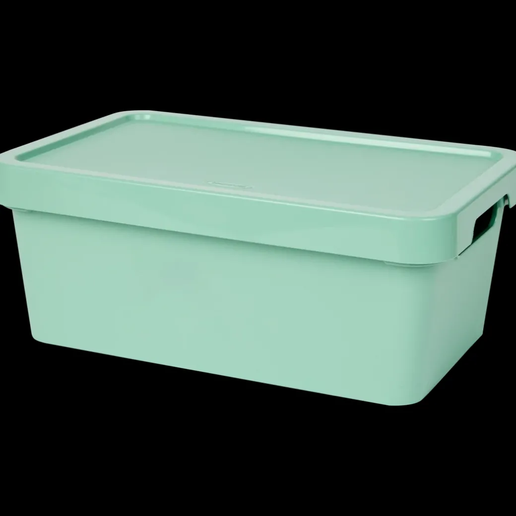 Tontarelli opbergbox Maya 4.2 liter | Action NL