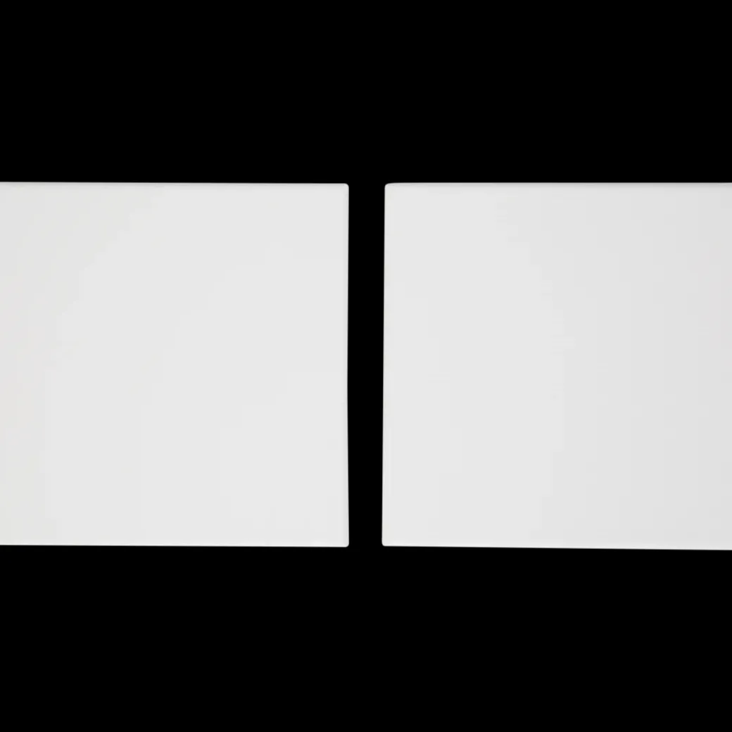 Van Bleiswijck schildersdoeken | Action NL