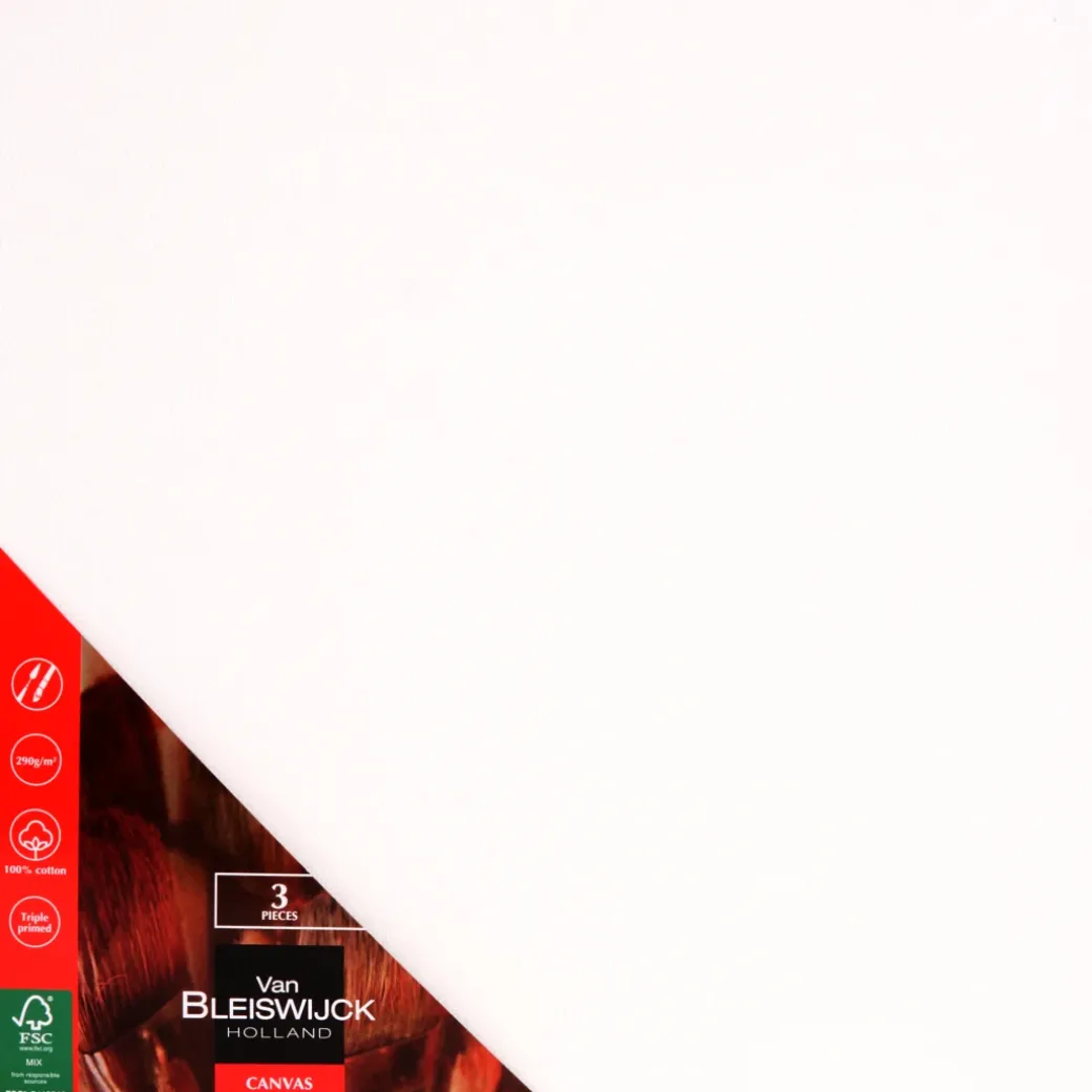 Van Bleiswijck schilderspanelen | Action NL